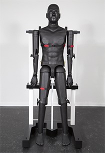 开云网页版-开云kaiyun（中国）
 全人体模型 POPEYE10